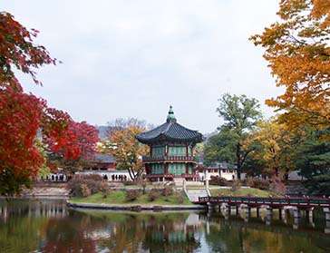 韓國中央大學(xué)
