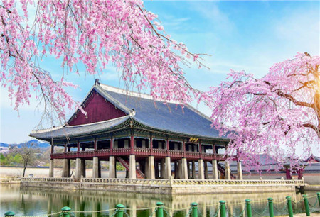 韓國中央大學學費