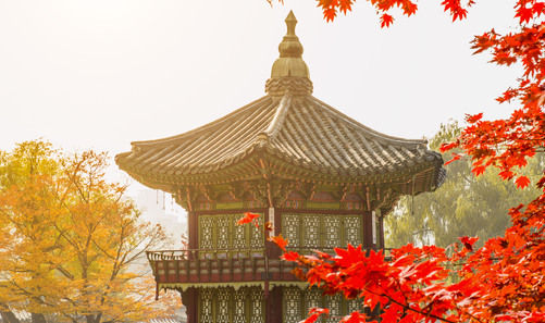 韓國(guó)留學(xué)