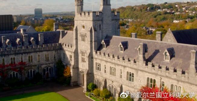 科克大學