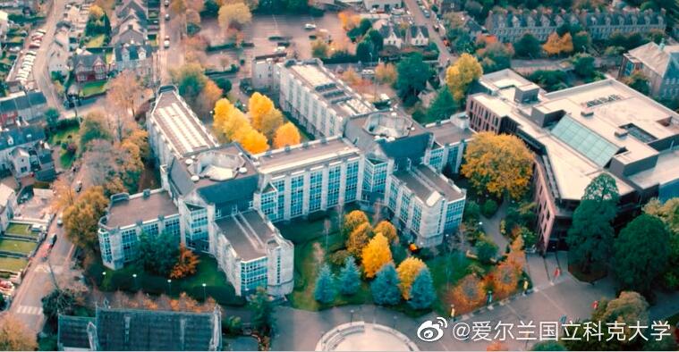 科克大學