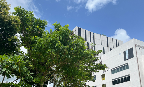 香港城市大學
