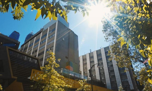 皇家墨爾本理工大學(xué)