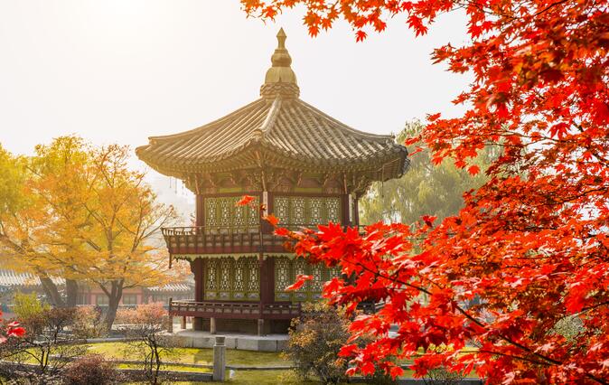韓國留學(xué)
