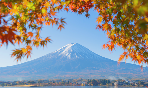 沈陽日本留學