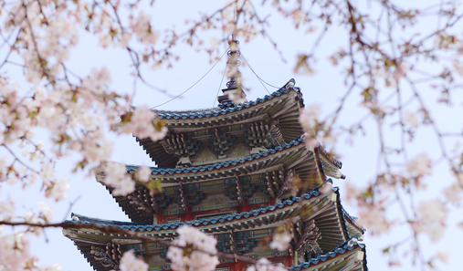 韓國留學(xué)費(fèi)用